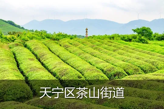 天宁区茶山街道