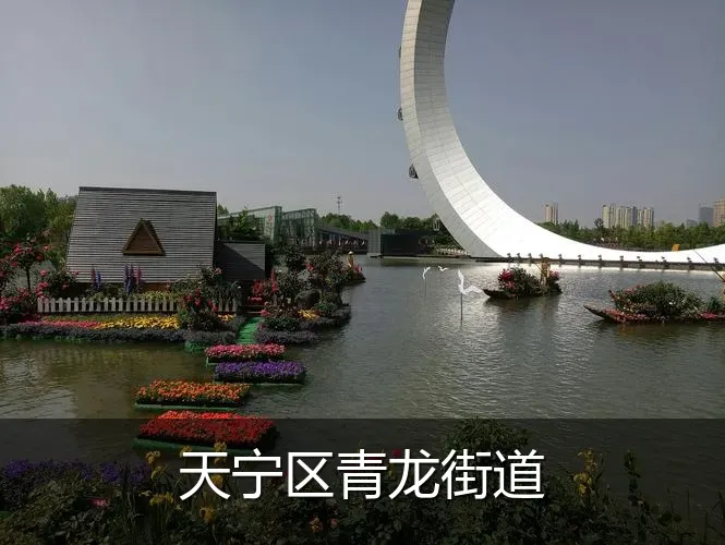 天宁区青龙街道